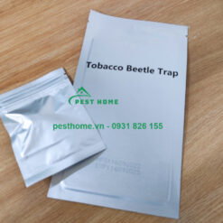 Bẫy bọ thuốc lá bằng Pheromone