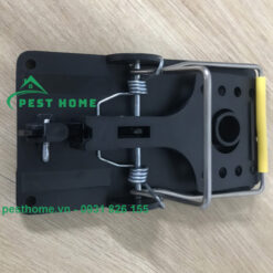 Bẫy chuột bán nguyệt