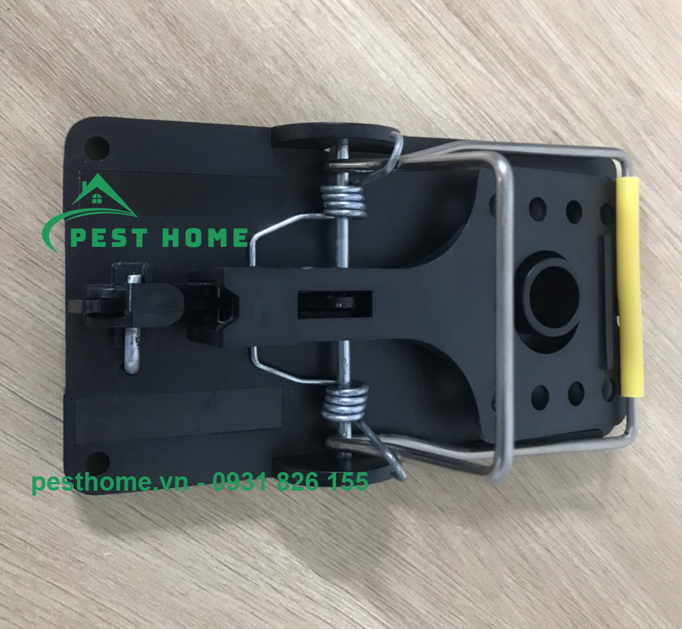 bay chuot ban nguyet Bẫy chuột bán nguyệt