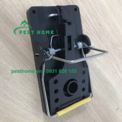 Bẫy chuột cống