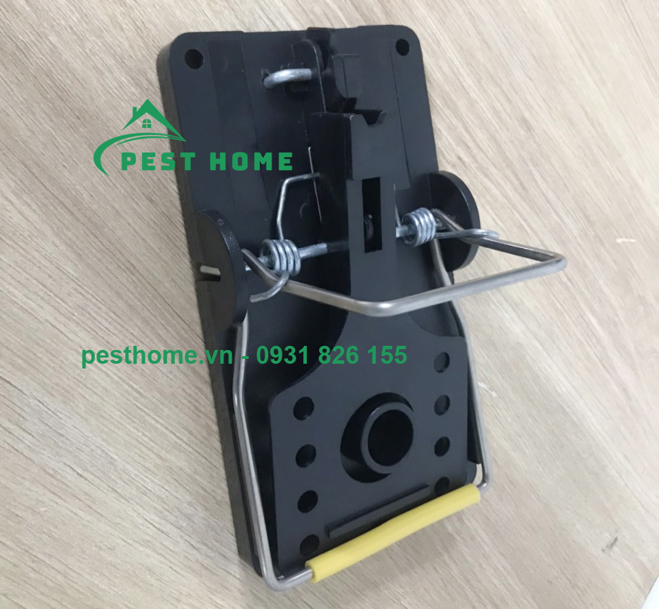 bay chuot cong Bẫy chuột cống
