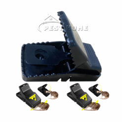 Bẫy chuột hàm cá sấu