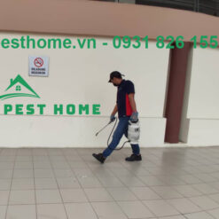 Bình phun thuốc khử trùng