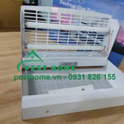 Bóng cho đèn Maxx 100