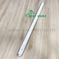 Bóng đèn cho đèn Maxx 150