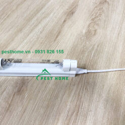 Bóng Philips 4W diệt khuẩn