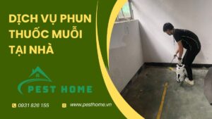 Dịch vụ phun thuốc muỗi
