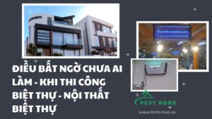 Điều bất ngờ chưa ai làm khi thi công biệt thự và nội thất biệt thự