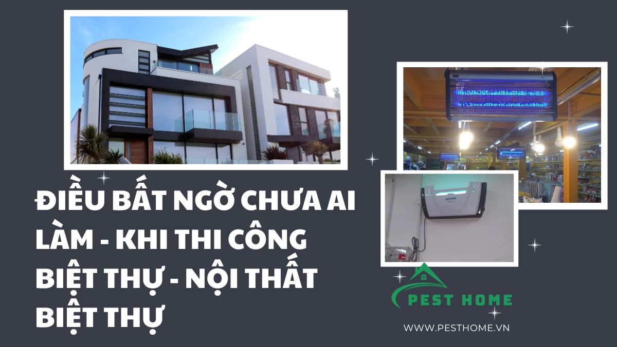 Điều bất ngờ chưa ai làm khi thi công biệt thự và nội thất biệt thự