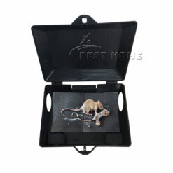 Hộp bẫy chuột Bio