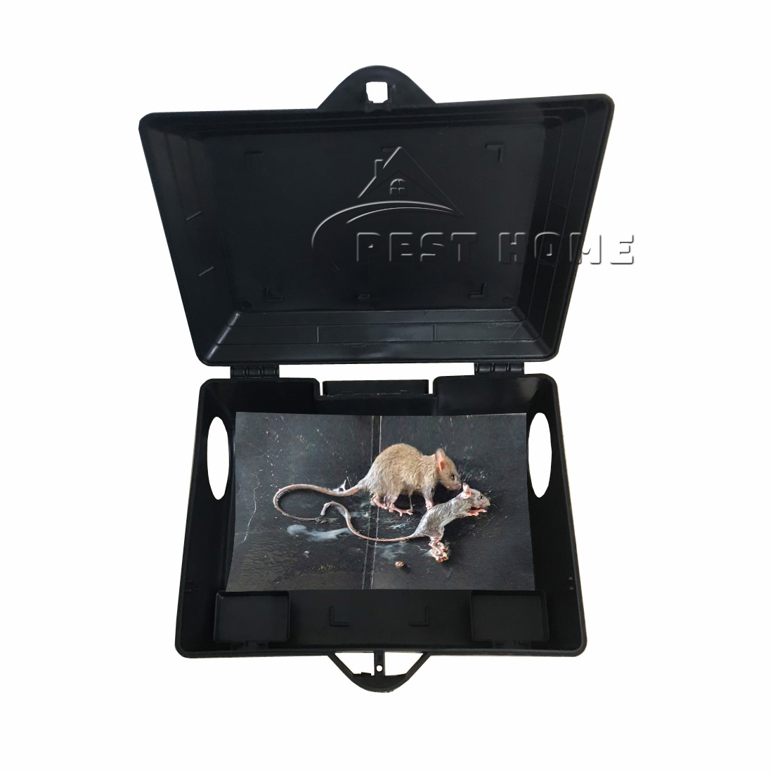 Hộp bẫy chuột Bio
