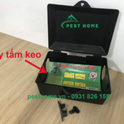 Hộp bẫy chuột tấm keo