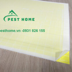 Keo đèn Maxx 100-X