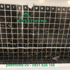 Keo đèn Maxx 100-X và Maxx 100