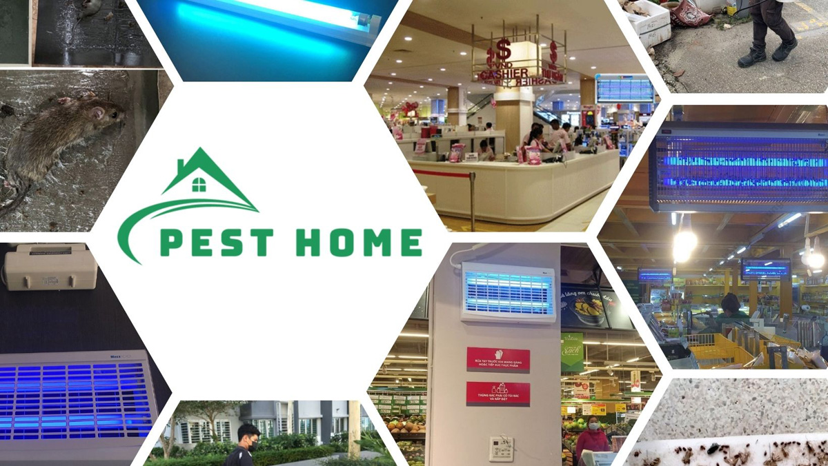 Những biện pháp kiểm soát côn trùng được ưu tiên