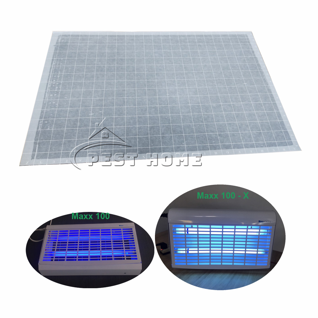 Tấm keo dính côn trùng cho đèn Maxx 100 và Maxx 100-X