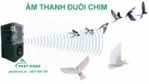 Âm thanh đuổi chim bồ câu, chim sẻ, chim yến hoặc nhiều loại chim khác