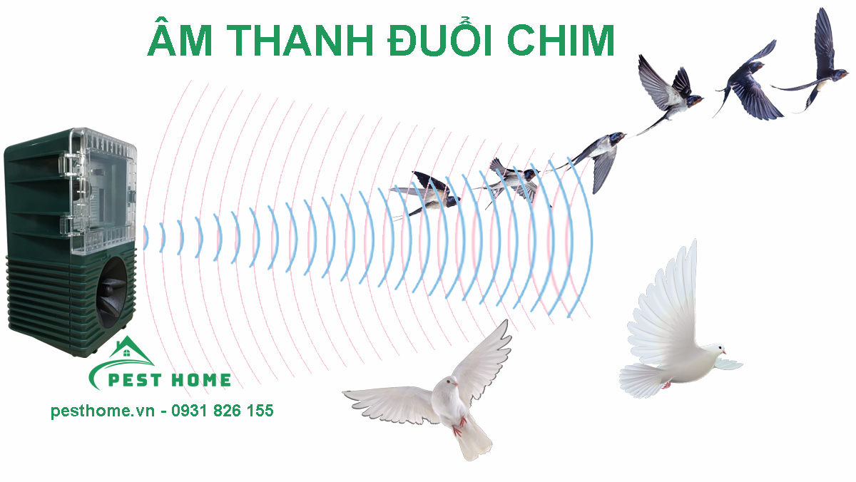 Âm thanh đuổi chim bồ câu, chim sẻ, chim yến hoặc nhiều loại chim khác