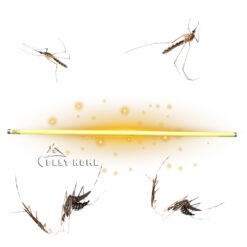 Bóng đèn đuổi muỗi và côn trùng 36W Philips