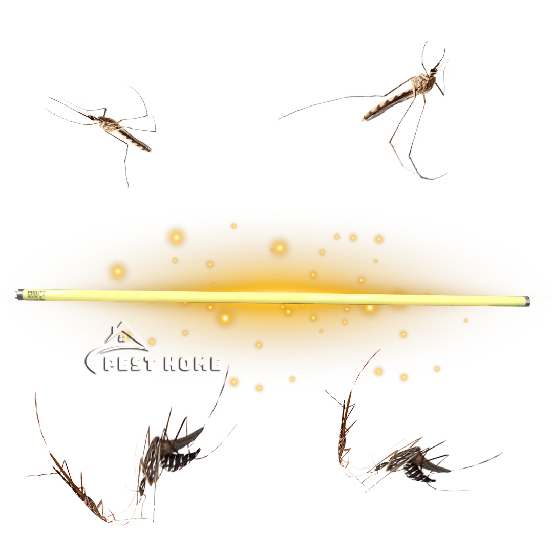 Bóng đèn đuổi muỗi và côn trùng 36W Philips