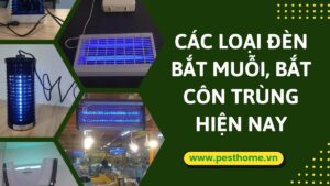Các loại đèn bắt muỗi