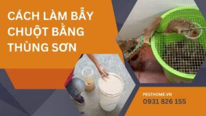 Cách làm bẫy chuột bằng thùng sơn