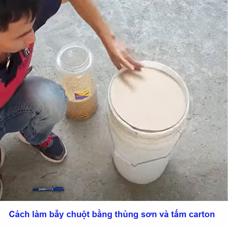 Cách làm bẫy chuột bằng thùng sơn và tấm carton