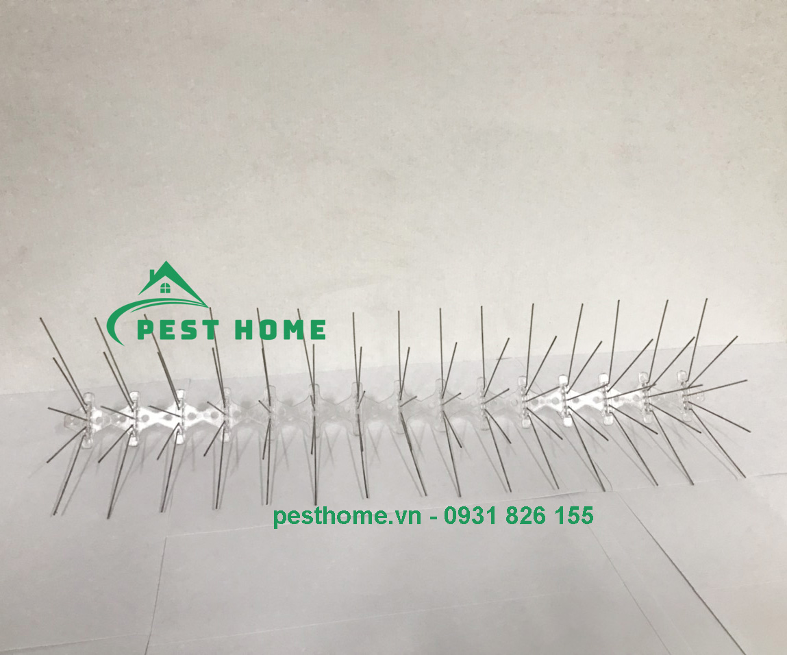 chong duoi chim bo cau Chông thép đuổi chim bồ câu