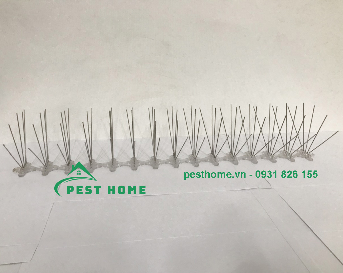 chong thep duoi chim Chông thép đuổi chim