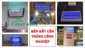 Đèn bắt côn trùng công nghiệp