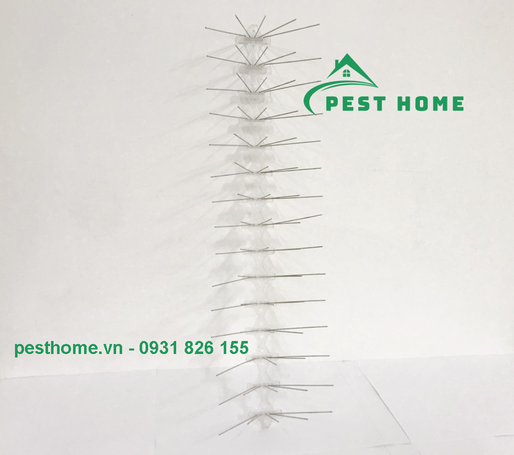 do duoi chim Đồ đuổi chim