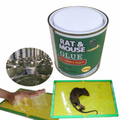 Hộp keo dính chuột