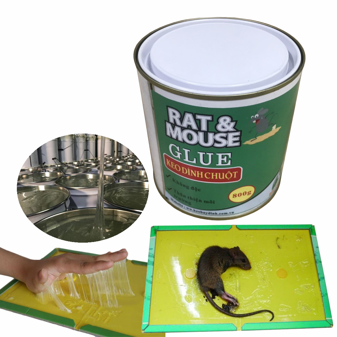 Hộp keo dính chuột