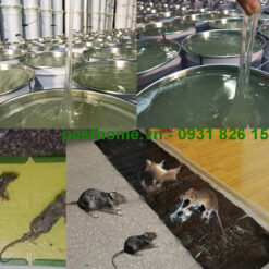 Keo dính bẫy chuột