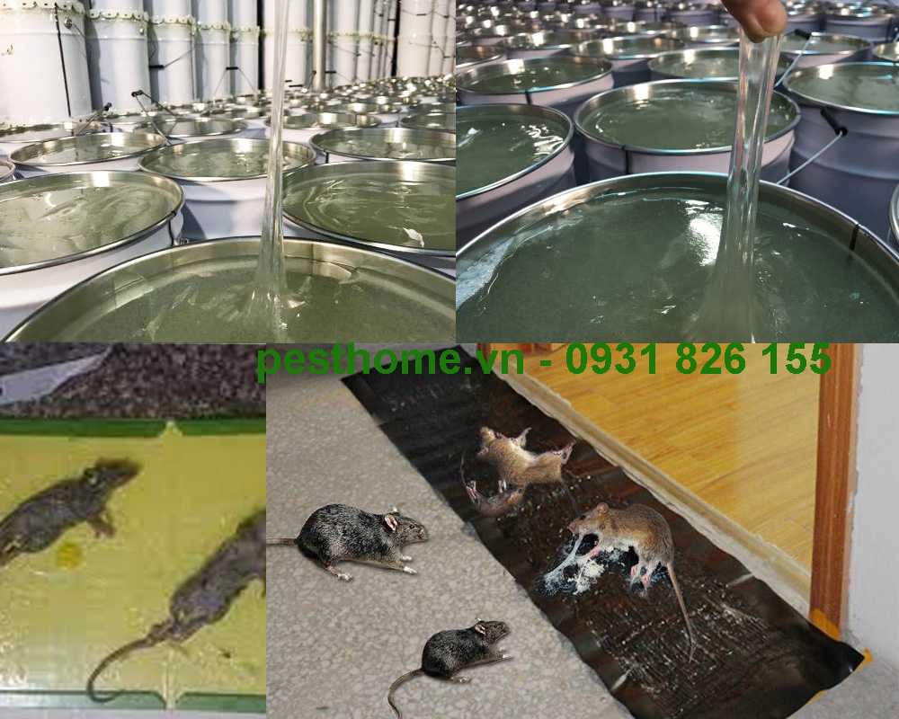 Keo dính bẫy chuột