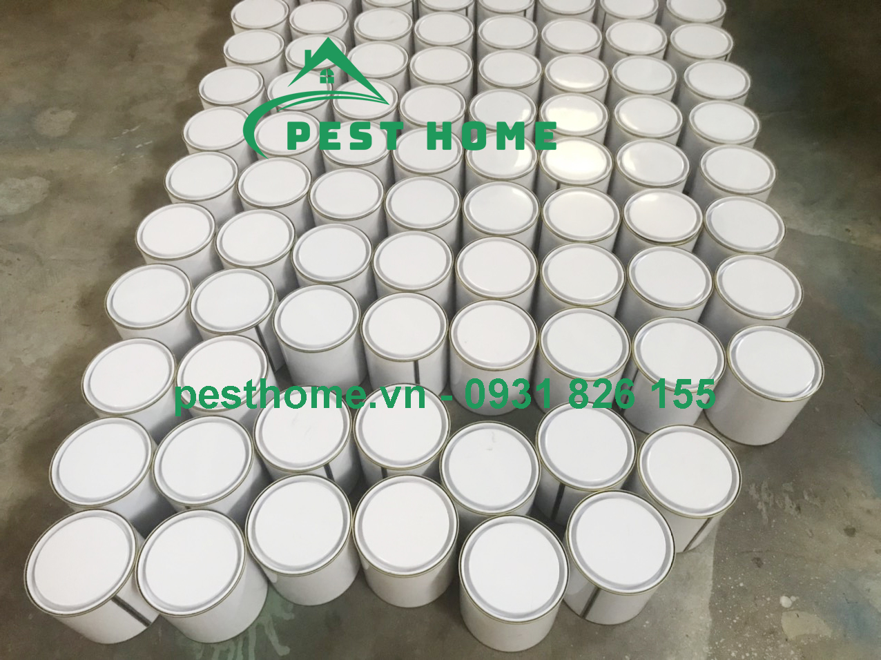 keo dinh chuot gia si Keo dính chuột giá sỉ