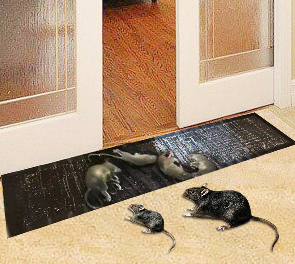 keo tret bay chuot Keo trét bẫy chuột