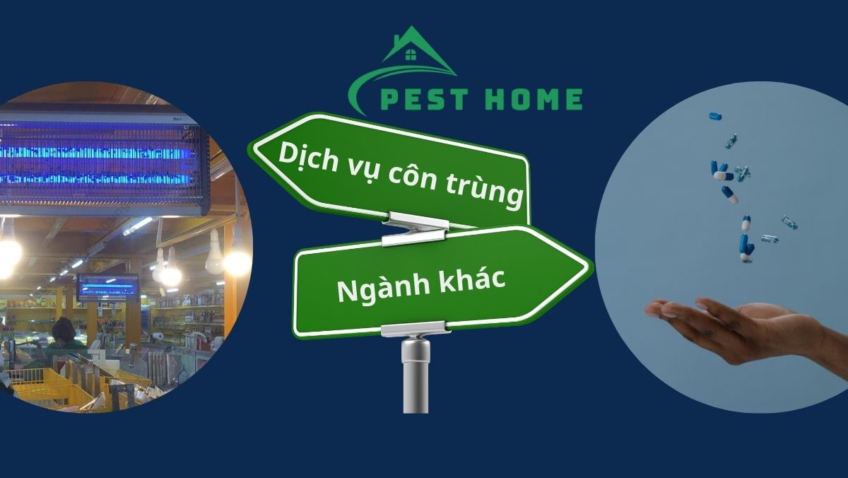 Kinh doanh dịch vụ côn trùng so với ngành khác