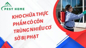 Phát hiện kho chứa thực phẩm có côn trùng nhiều cơ sở bị phạt