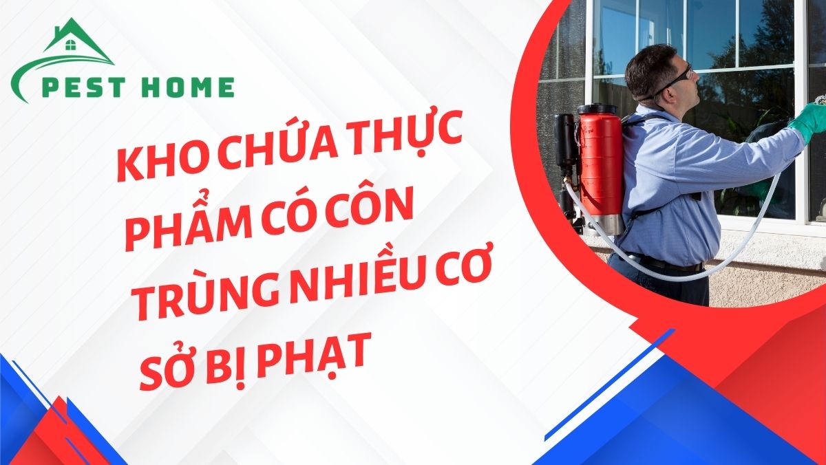 Phát hiện kho chứa thực phẩm có côn trùng nhiều cơ sở bị phạt