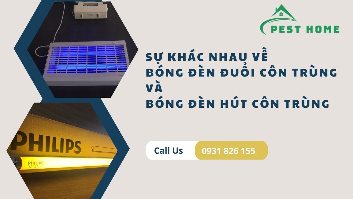 Sự khác nhau về bóng đèn đuổi côn trùng và hút côn trùng