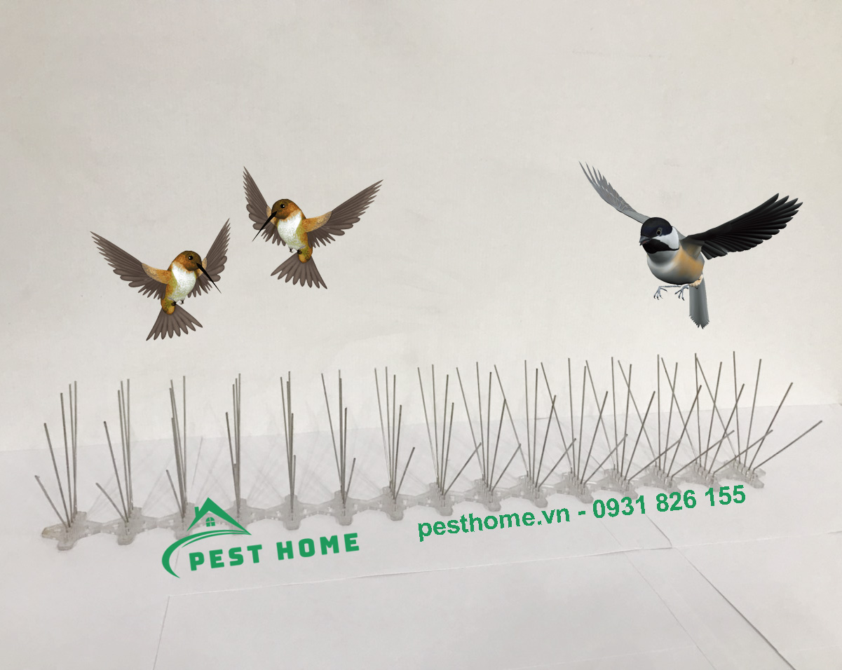 thiet bi duoi chim Thiết bị đuổi chim