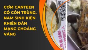 Cơm Cantin có côn trùng