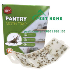 Bẫy bướm đem Pantry Moth Trap