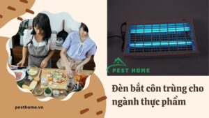 Đèn bắt côn trùng cho ngành thực phẩm