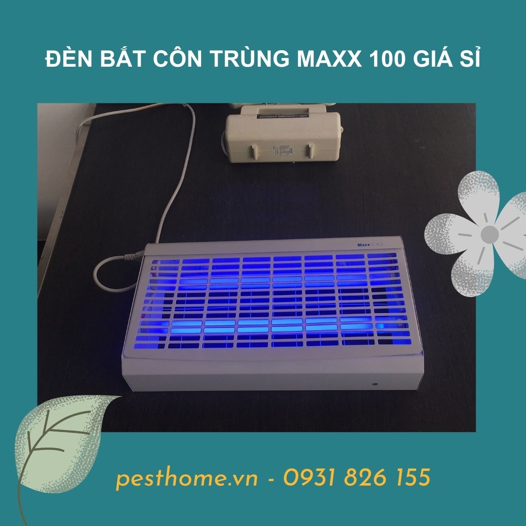 Đèn bắt côn trùng Maxx 100 giá sỉ
