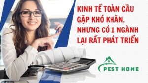 Kinh tế toàn cầu gặp khó khăn nhưng có 1 ngành lại rất phát triển