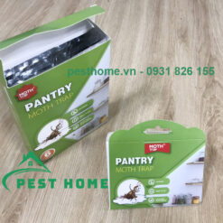 Pantry Moth trap bẫy bướm đêm