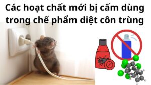 Các hoạt chất mới bị cấm dùng trong chế phẩm diệt côn trùng
