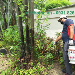 Thuốc phun Spectra 10SC